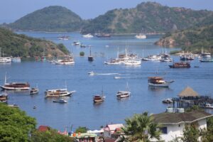 Toko Plakat Custom di Labuan Bajo Komodo untuk Kenangahan Wisata Komodo